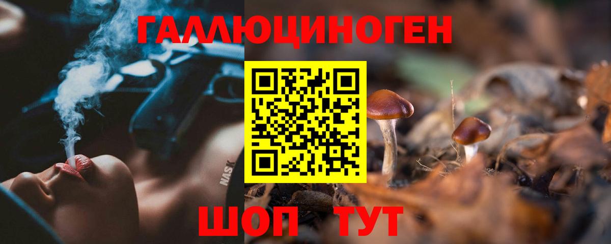 Псилоцибиновые грибы MAGIC MUSHROOMS  Вход с VPN  Бор 
